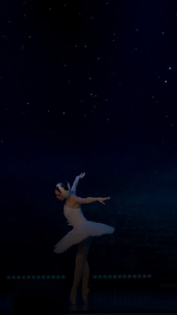 Миниатюру «Умирающий лебедь» исполнили на спектакле «Русские сезоны. Весна»