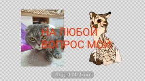 сделала на скорую руку