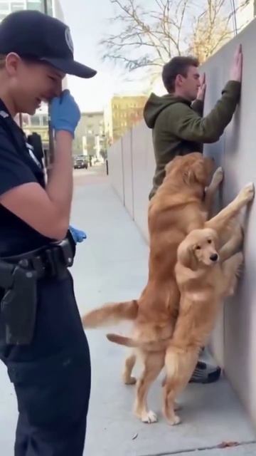 Серьёзное задержание 😅 Прикол из нейросети