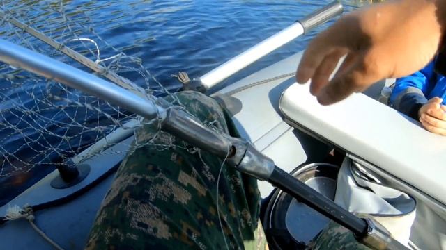 Рыбалка 23.05.23