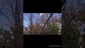 Проект_07-14_Full_HD_1080p_MEDIUM_FR30.mp4