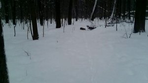 061 2017.01.05_11.07.21 Свежий снег в Измайлово для Маньки)