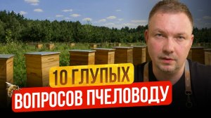 10 Глупых Вопросов Пчеловоду
