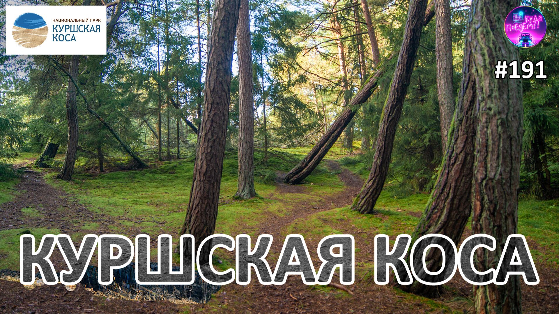 Что посмотреть на Куршской косе: маршрут по самым красивым местам