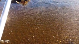 ПРОГУЛКА В ПАРКЕ АРХИВ 003