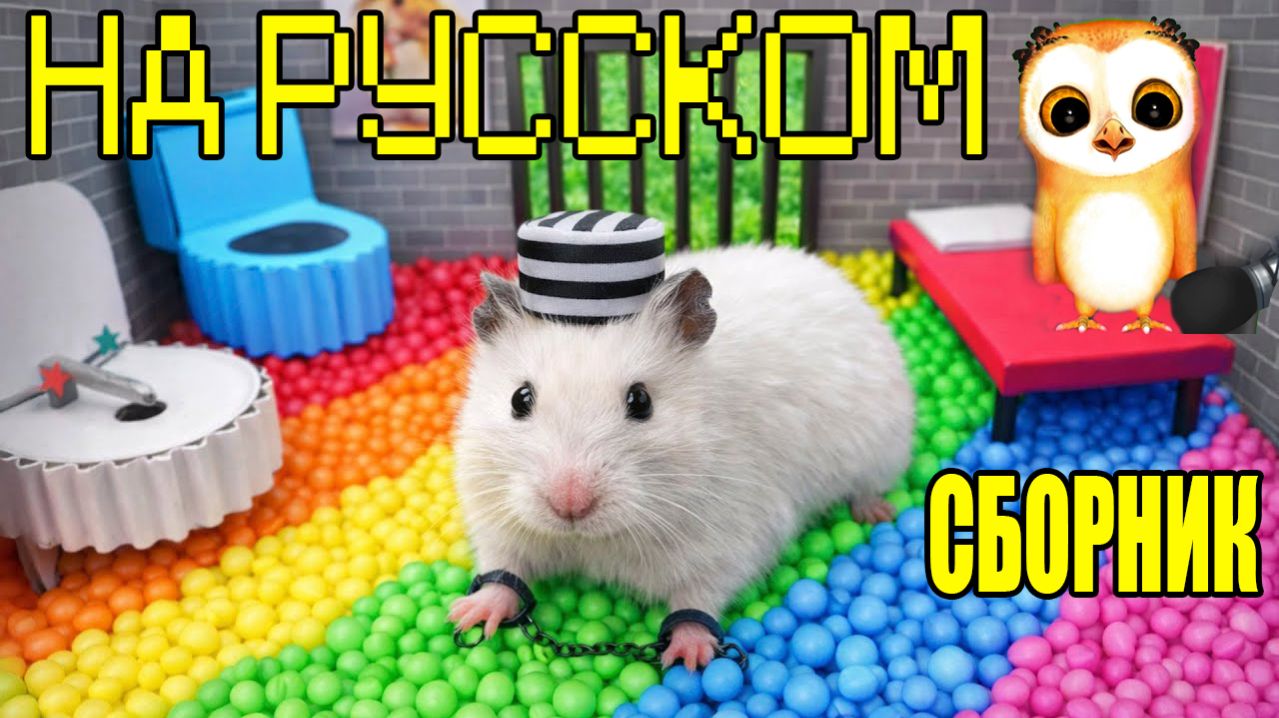 ПРИКЛЮЧЕНИЯ ХОМЯЧКА БОЛЬШОЙ СБОРНИК ДЛЯ ДЕТЕЙ