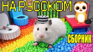 ПРИКЛЮЧЕНИЯ ХОМЯЧКА БОЛЬШОЙ СБОРНИК ДЛЯ ДЕТЕЙ