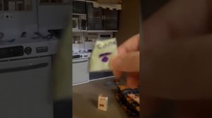 собаки и хорёк# новый дом вечерний влог