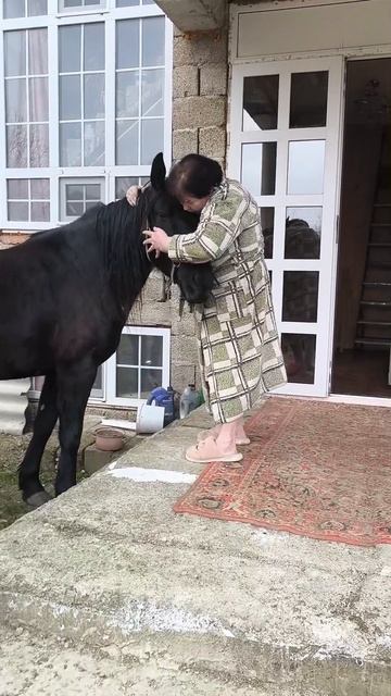 Тётя Люда и лошади смотреть онлайн