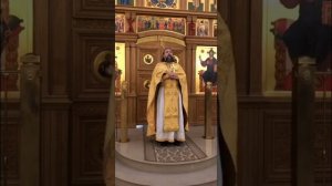 О страшном суде, скорбях и неправильном представлении о духовной жизни. Проповедь о. Андрея