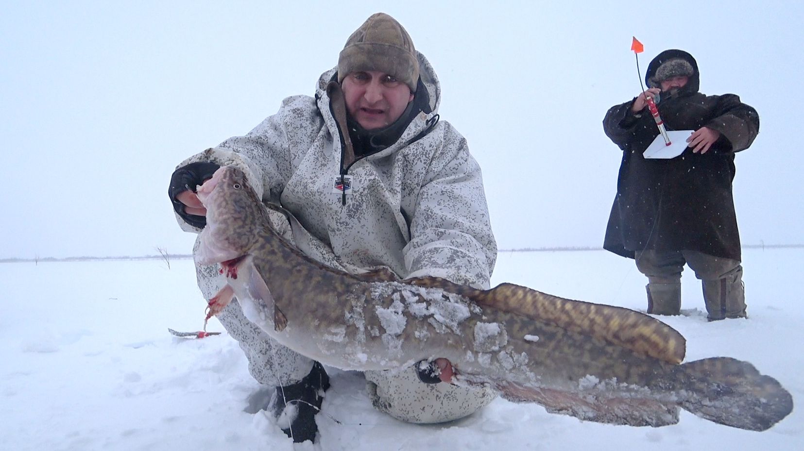 Рыбалка жерлицами на налима. На эту снасть налим ловится лучше всего.