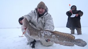 Рыбалка жерлицами на налима. На эту снасть налим ловится лучше всего.