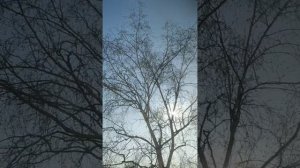 Доброе утро!Всем причастным спасибо!