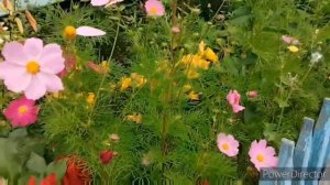 Проект_07-23_Full_HD_1080p_MEDIUM_FR30.mp4