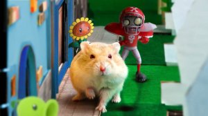 Побег хомяка: растения против зомби — лабиринт с препятствиями!