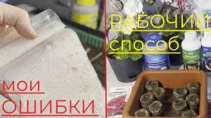 КАК посеять ПЕТУНИЮ🌸 без ОШИБОК: опыт с ТОРФЯНЫМИ таблетками и РАЗБОР неудач #петуния #посевпетунии