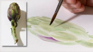 Artichoke from BS p1