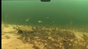 Тест на WI-FI  под водой