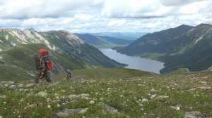 Куролесево. На контрасте. Часть 6.