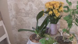 Открываю новый сезон посадок этого года.