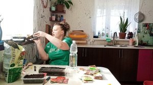 сею помидоры и мяту