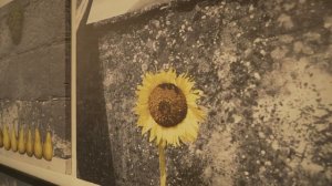 World Art Roadshow – новая ярмарка доступного современного искусства в Москве (6)