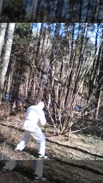 Angeles ninja - Taming the porpoising (03.04.2019.) Ангельский ниндзя - Приручка барса #ForestNinja