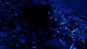 039 2016.04.19_19.49.19