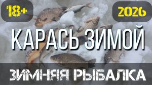 Зимняя рыбалка. Карп и Карась на секретном водоёме. Жерлицы. 6 марта 2026 г.