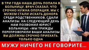 Истории из жизни|Мы с мужем бились|Аудио рассказы|Аудиокниги слушать онлайн|Жизненные истории
