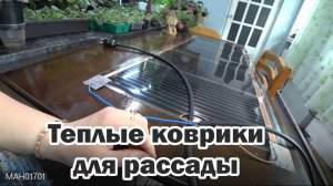 С этими ковриками моя рассада взошла за 3 дня