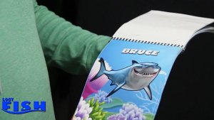 Фокус Появление рыбки НЕМО |Lost Fish