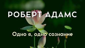 Много имён. Одно Я. Роберт Адамс