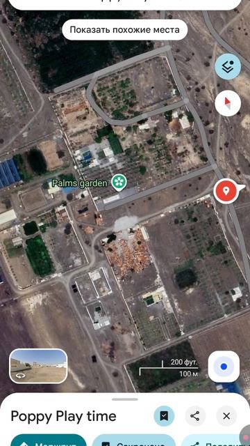 поопи плейбой тайм смотреть онлайн
