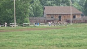 Кудыкина гора 2021