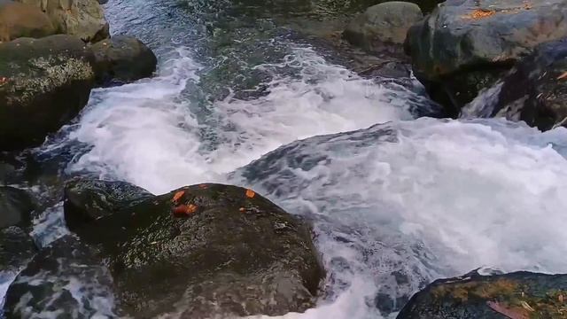 Горные реки 🌿🌊🕊️