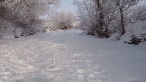 Налим на живца зимой. 6 сезон. 4 серия. (Тычки со льда на налима)