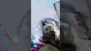 все гуляют а я нет