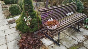 Где и как лучше посадить подснежники. Весенний уголок в моём южном саду 04 и 05.03.2026 г.Пятигорск.