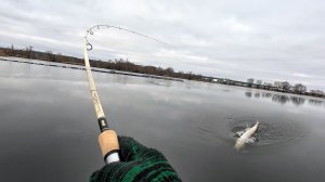 ЩУКА НА СПИННИНГ ОДНА ЗА ДРУГОЙ! Ломаю лёд! Рыбалка 2026 на спиннинг