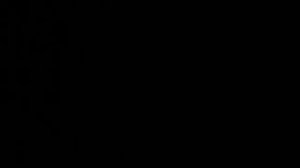 Как правильно обработать днище автомобиля сырое зимой