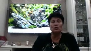 Воскресный эфир с БАГИРОЙ!