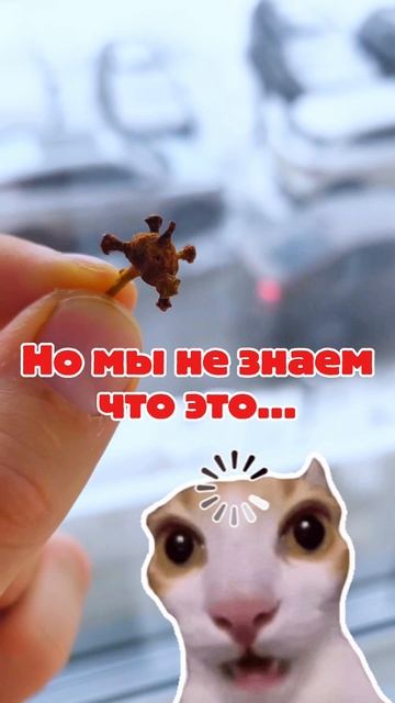 Неведомое