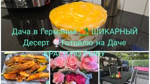 Vlog 🇩🇪 ШИКАРНЫЙ И БЫСТРЫЙ ДЕСЕРТ С ПЕРСИКАМИ 🥭/Готовлю на Даче КРАСНУЮ РЫБУ
