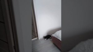 Школа паркура