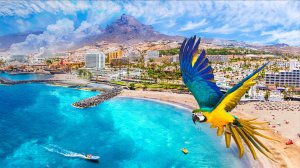 Эль Медано Пляж - Канарские острова 9 марта 2026