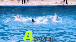 Алфавит для Детей. Азбука Учим Буквы Развивающие Мультики для Детей