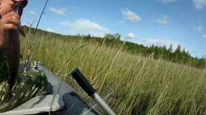 Рыбалка 13-14.06.25