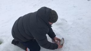 ещё одна форель на льду
