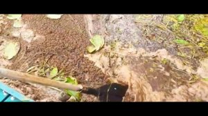 собираю пластиковую рыбку ЧАСТЬ 26